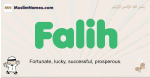 Falih muslim boys name and meaning, islamic boys name Falih
