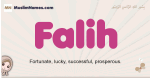Falih muslim girls name and meaning, islamic girls name Falih