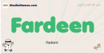 Fardeen muslim boys name and meaning, islamic boys name Fardeen