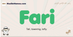 Fari muslim boys name and meaning, islamic boys name Fari