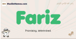 Fariz muslim boys name and meaning, islamic boys name Fariz