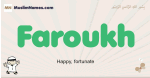 Faroukh muslim boys name and meaning, islamic boys name Faroukh