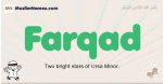 Farqad muslim boys name and meaning, islamic boys name Farqad