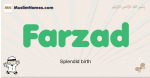 Farzad muslim boys name and meaning, islamic boys name Farzad