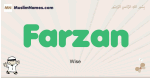 Farzan muslim boys name and meaning, islamic boys name Farzan