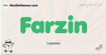 Farzin muslim boys name and meaning, islamic boys name Farzin