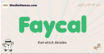Faycal muslim boys name and meaning, islamic boys name Faycal