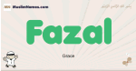 Fazal muslim boys name and meaning, islamic boys name Fazal