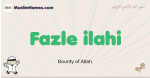 Fazle-ilahi muslim boys name and meaning, islamic boys name Fazle-ilahi
