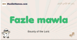 Fazle-mawla muslim boys name and meaning, islamic boys name Fazle-mawla