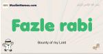 Fazle-rabi muslim boys name and meaning, islamic boys name Fazle-rabi