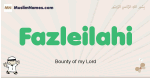 Fazleilahi muslim boys name and meaning, islamic boys name Fazleilahi