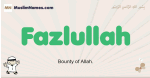 Fazlullah muslim boys name and meaning, islamic boys name Fazlullah