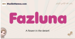 Fazluna muslim girls name and meaning, islamic girls name Fazluna