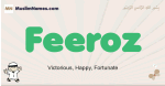 Feeroz muslim boys name and meaning, islamic boys name Feeroz