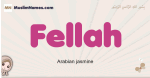 Fellah muslim girls name and meaning, islamic girls name Fellah