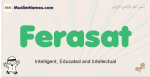 Ferasat muslim boys name and meaning, islamic boys name Ferasat