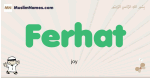 Ferhat muslim boys name and meaning, islamic boys name Ferhat