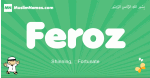 Feroz arabic boys name and meaning, quranic boys name Feroz