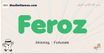 Feroz muslim boys name and meaning, islamic boys name Feroz