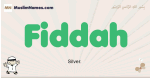 Fiddah muslim boys name and meaning, islamic boys name Fiddah