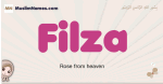 Filza muslim girls name and meaning, islamic girls name Filza