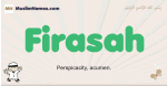 Firasah muslim boys name and meaning, islamic boys name Firasah