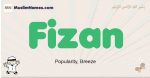 Fizan muslim boys name and meaning, islamic boys name Fizan