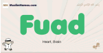 Fuad muslim boys name and meaning, islamic boys name Fuad