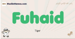 Fuhaid muslim boys name and meaning, islamic boys name Fuhaid