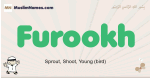 Furookh muslim boys name and meaning, islamic boys name Furookh