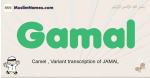 Gamal muslim boys name and meaning, islamic boys name Gamal