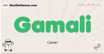 Gamali muslim boys name and meaning, islamic boys name Gamali