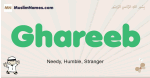 Ghareeb muslim boys name and meaning, islamic boys name Ghareeb
