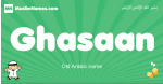 Ghasaan arabic boys name and meaning, quranic boys name Ghasaan