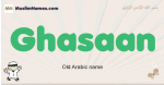 Ghasaan muslim boys name and meaning, islamic boys name Ghasaan