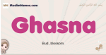 Ghasna muslim girls name and meaning, islamic girls name Ghasna