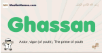 Ghassan muslim boys name and meaning, islamic boys name Ghassan