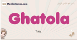 Ghatola muslim girls name and meaning, islamic girls name Ghatola