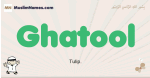 Ghatool muslim boys name and meaning, islamic boys name Ghatool