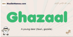 Ghazaal muslim boys name and meaning, islamic boys name Ghazaal