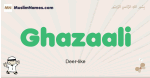 Ghazaali muslim boys name and meaning, islamic boys name Ghazaali