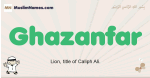 Ghazanfar muslim boys name and meaning, islamic boys name Ghazanfar