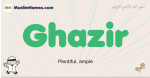Ghazir muslim boys name and meaning, islamic boys name Ghazir