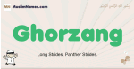 Ghorzang muslim boys name and meaning, islamic boys name Ghorzang