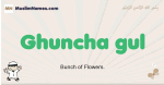 Ghuncha-gul muslim boys name and meaning, islamic boys name Ghuncha-gul
