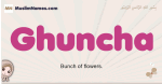 Ghuncha muslim girls name and meaning, islamic girls name Ghuncha