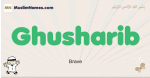 Ghusharib muslim boys name and meaning, islamic boys name Ghusharib