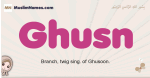 Ghusn muslim girls name and meaning, islamic girls name Ghusn