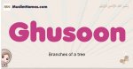 Ghusoon muslim girls name and meaning, islamic girls name Ghusoon